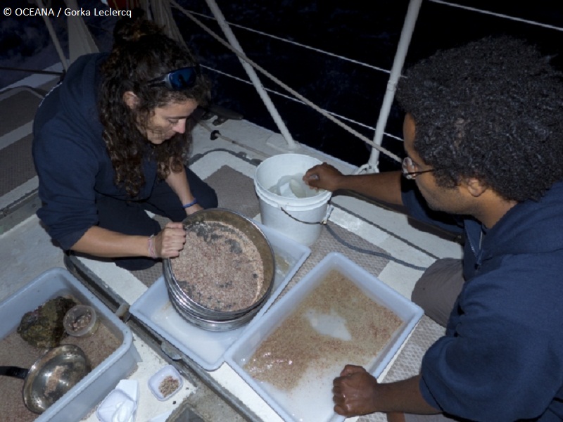 S. Garcia y P. Silva recopilando muestras draga 02 Gettysburg ©OCEANA / Gorka Leclercq