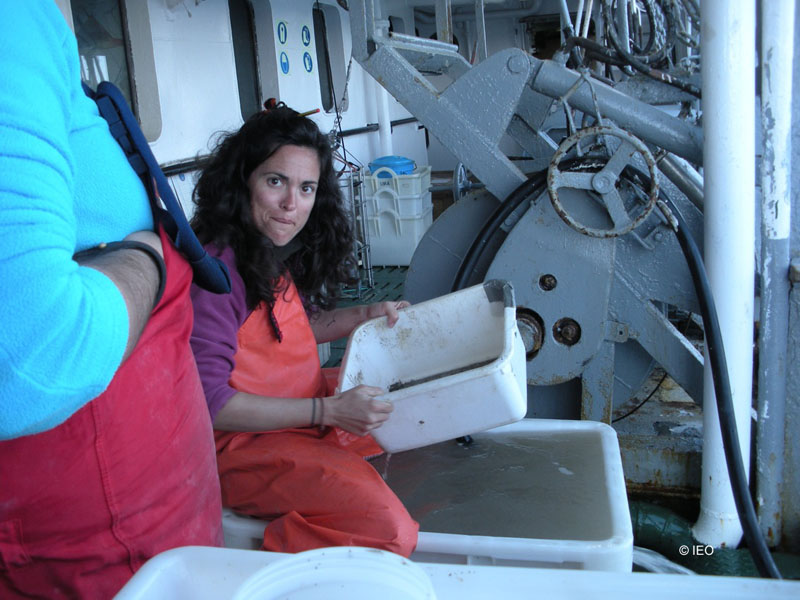 Alejandra Fernández entre tamices en la cubierta de trabajo ©IEO