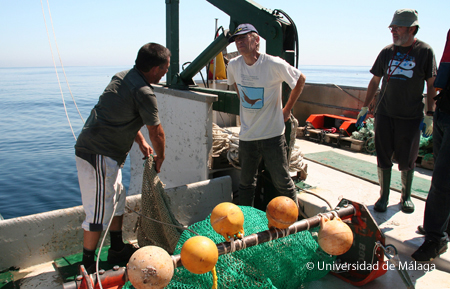 Pepe, el contramaestre del “Isla de Alborán”, levanta la red del arte de arrastre de vara bajo la mirada satisfecha del jefe de campaña y de Ángel. Foto: Agustín Barrajón.