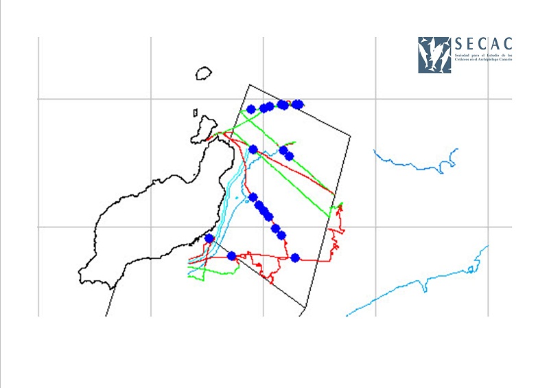 Mapa de los transectos realizados ©SECAC