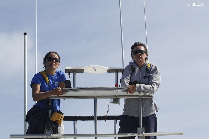 Avistadores en la torre de observación ©SECAC