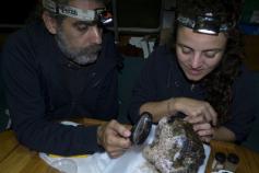 R. Aguilar y S. Garcia estudiando muestra draga 02 Gettysburg ©OCEANA / Gorka Leclercq