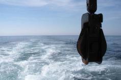 Terminando la jornada, navegamos a toda máquina rumbo a puerto. Todavía podemos contemplar el hermoso paisaje marinero que nos regala la luminosa mar gaditana ©IEO