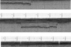 Conjunto de tres perfiles de sísmica reflexión de muy alta resolución (TOPAS) tomados en el campo de gas somero. Se pueden apreciar las diferencias entre los apantallamientos que produce el gas en cada uno de los registros ©IEO