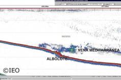 Perfil de ecosonda monohaz en el que se observa la posición de Gazul y Albolote. Sobre ellos se desarrolla una superficie horizontal que es el reflejo del techo de la vena de agua mediterránea ©IEO