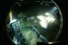 Recogida de muestras en las profundidades del cañón ©ICM-CSIC
