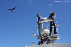 Observadores en la torre de avistamientos ©SECAC